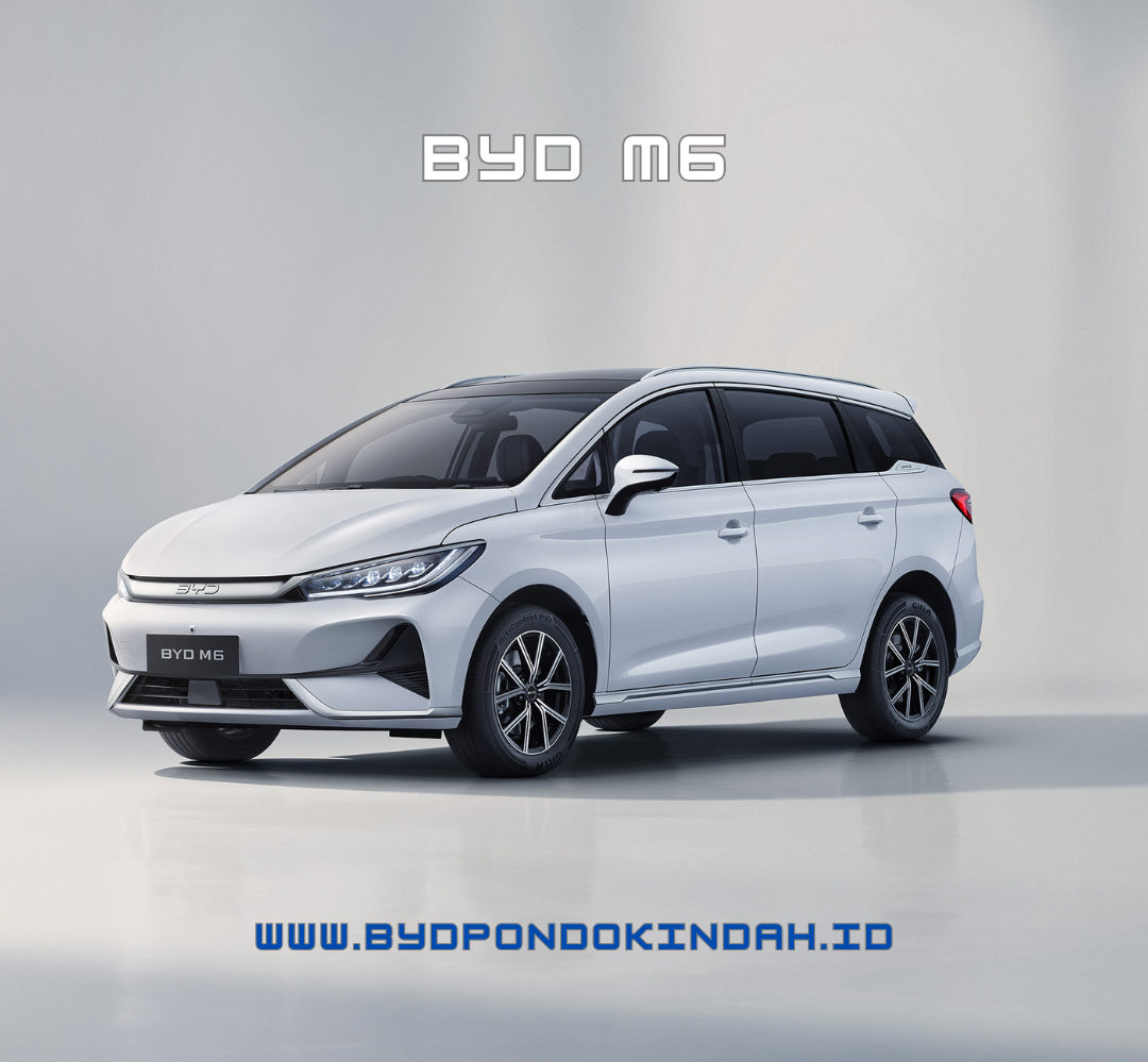 BYD M6